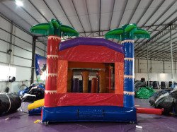 Purple20Combo202 1683118255 large rainbow bounce house combo (Wet or Dry)